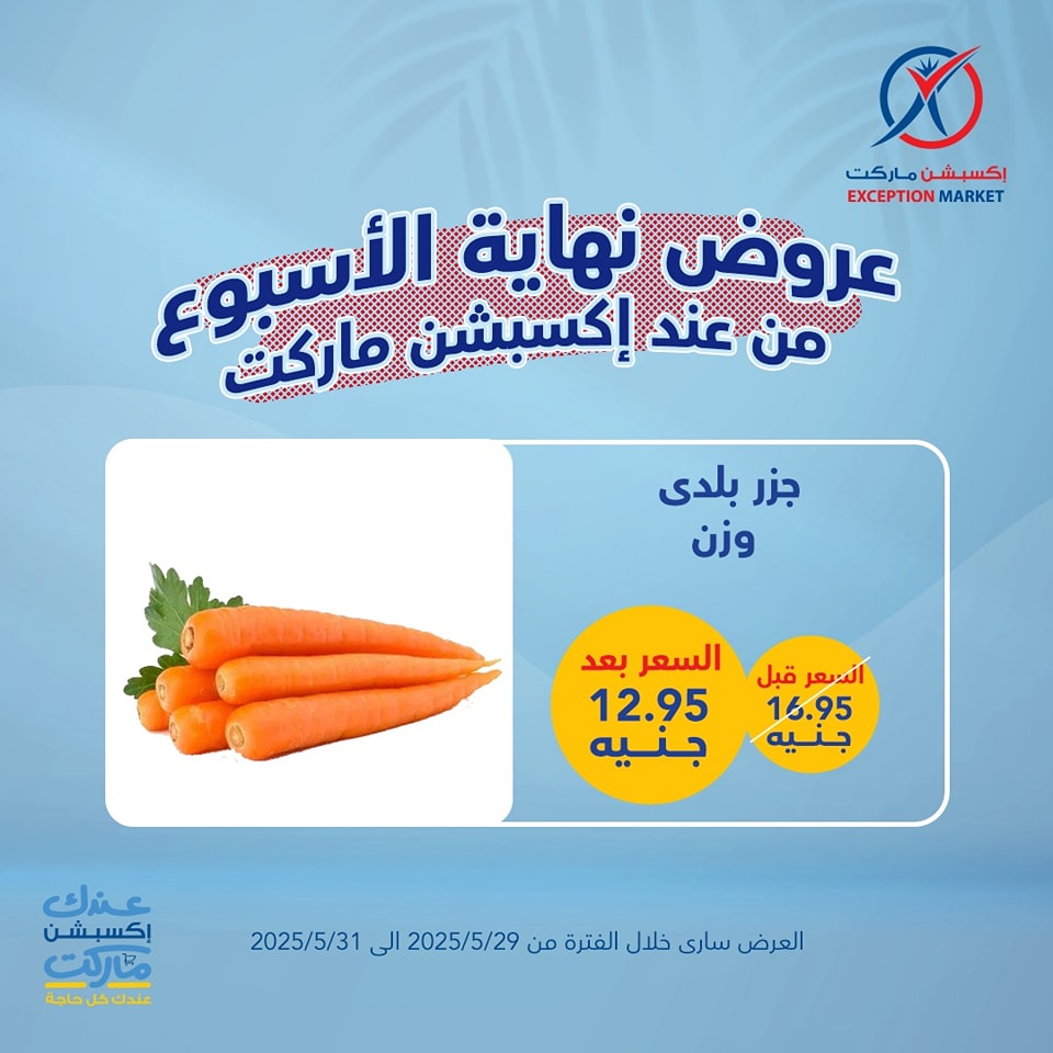 exception offers from 29may to 6may 2025 عروض اكسبشن من 29 مايو حتى 6 مايو 2025 صفحة رقم 10